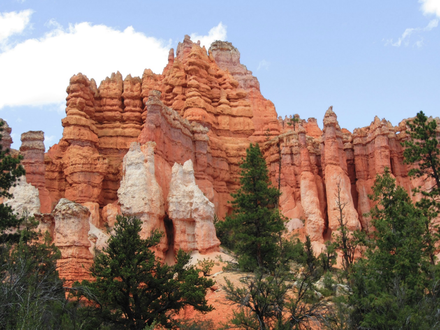 USA_Bryce Canyon_A_126